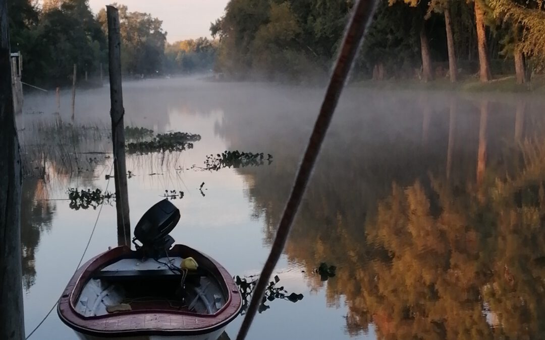 El «archivo de los pies» en el Delta del Paraná